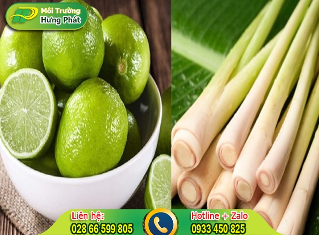 Sử dụng sả dể l&agrave;m thơm nh&agrave; vệ sinh một c&aacute;ch an to&agrave;n