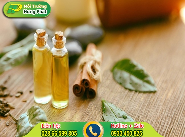 D&ugrave;ng tinh dầu cho căn ph&ograve;ng thơm m&aacute;t