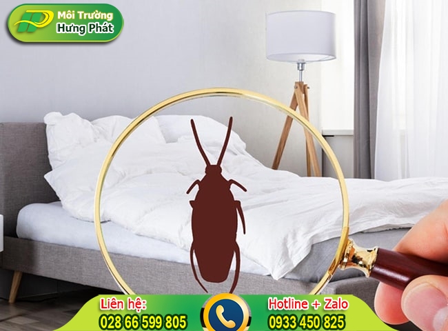 Sinh vật chết kẹt ở ống nước g&acirc;y ra m&ugrave;i h&ocirc;i