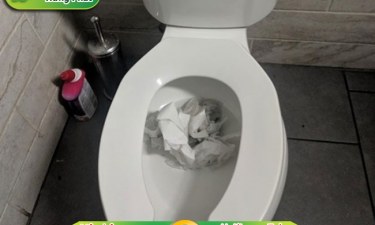 Những kinh nghiệm thông tắc bồn cầu ai cũng nên nắm rõ