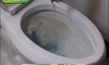 Hướng dẫn sử dụng và vệ sinh bồn cầu đúng cách