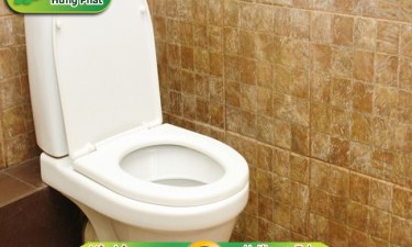 Phương pháp xử lý bồn cầu bị cạn nước ít tốn kém, hiệu quả