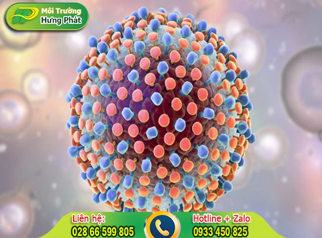 Virus vi&ecirc;m gan A