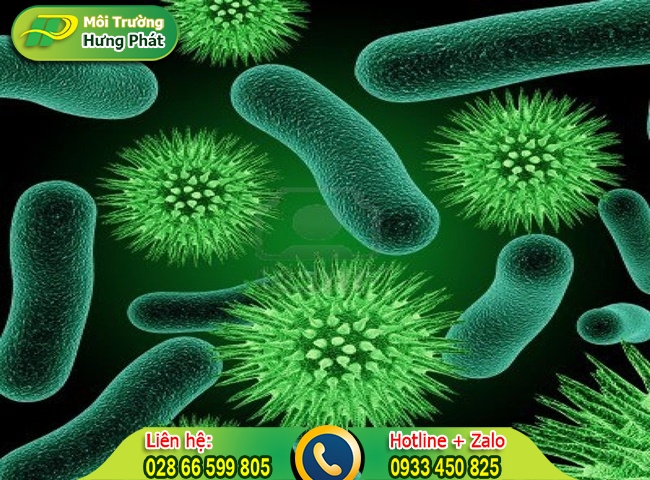 Bồn cầu chứa nhiều vi khuẩn c&oacute; hại