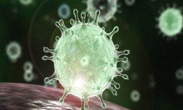 Bồn cầu tiềm ẩn vi khuẩn gây hại và mầm mống gây bệnh nguy hiểm