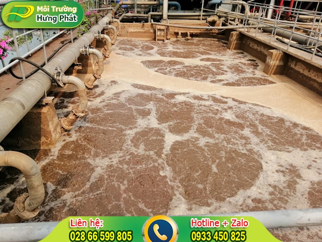 v&acirc;n chuyển b&ugrave;n vi sinh