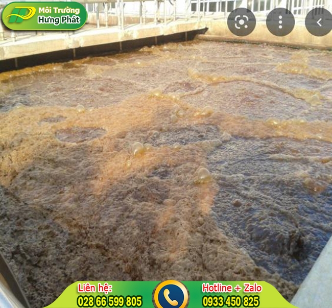 dichvuvanchuyenbunvisinhhaugiangdathayre