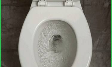 Cách sửa bồn cầu chảy nước dễ dàng và vô cùng nhanh chóng