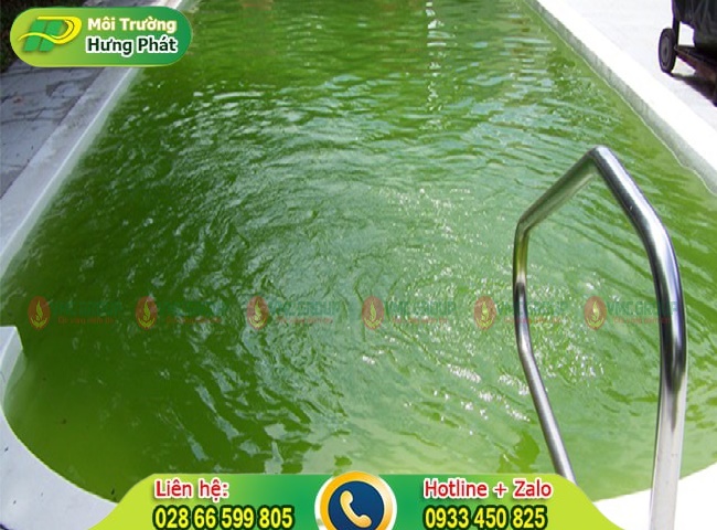 Tẩy rửa rong rêu cho hồ bơi