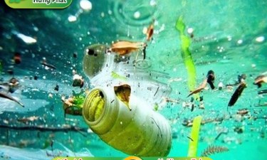 Chất thải rắn là gì? Cách xử lý chất thải rắn an toàn, hiệu quả