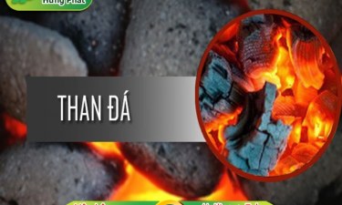 Biến đổi khí hậu là gì? Nguyên nhân và hậu quả