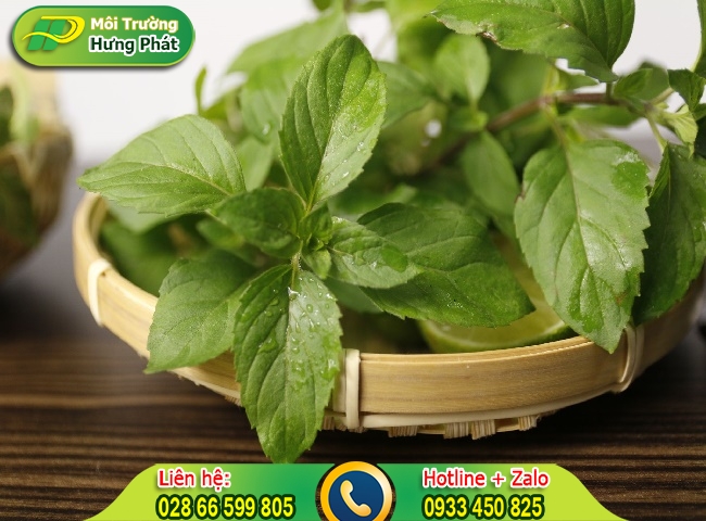 D&ugrave;ng bạc h&agrave; để khử m&ugrave;i sơn độc hại