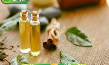 Điều hòa ô tô có mùi hôi làm sao để xử lý ít tốn kém, hiệu quả?