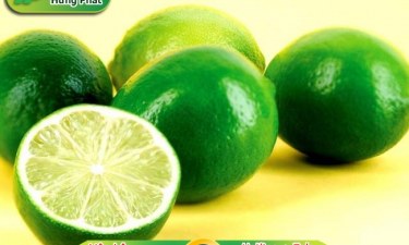 Cách vệ sinh tủ lạnh hết mùi đúng cách, ít tốn kém