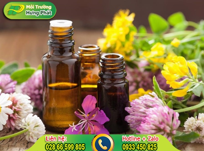 Sử dụng tinh dầu xịt xung quanh phòng ngủ
