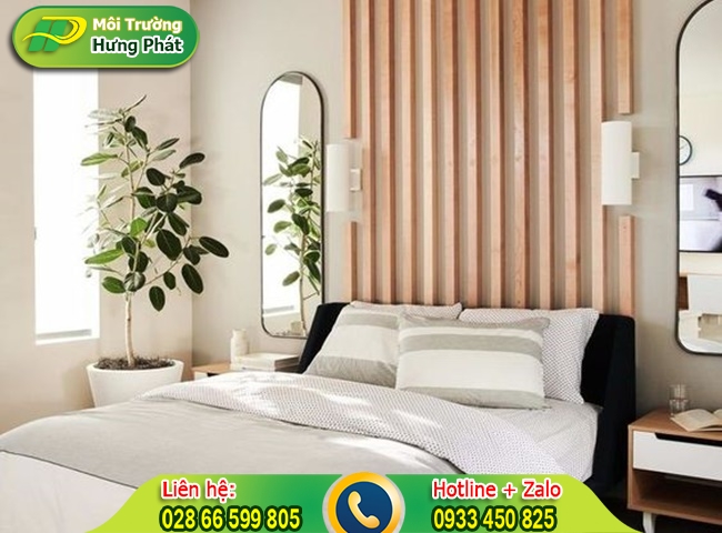 Đặt cây cảnh trong phòng ngủ
