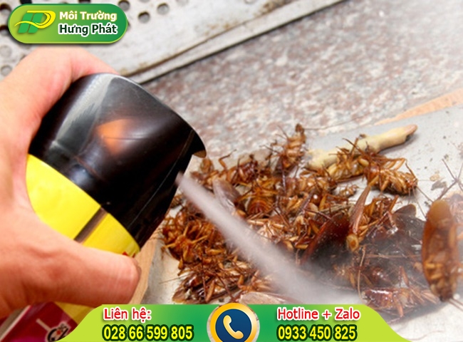 Chuột, gián làm tổ trong phòng ngủ nên gây mùi