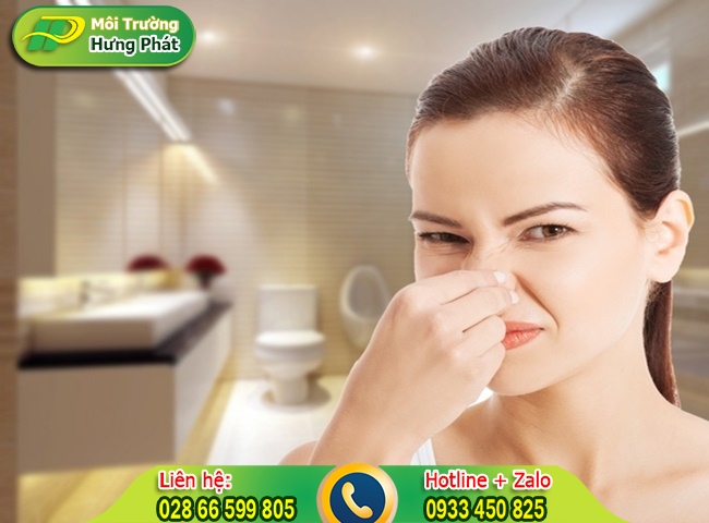 M&ugrave;i h&ocirc;i bốc ra từ toilet g&acirc;y kh&oacute; chịu