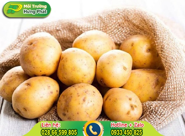 D&ugrave;ng khoai t&acirc;y l&agrave;m sạch nh&agrave; tắm