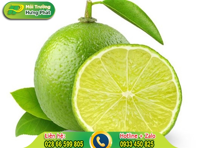 L&agrave;m sạch toilet nh&agrave; vệ sinh bằng chanh