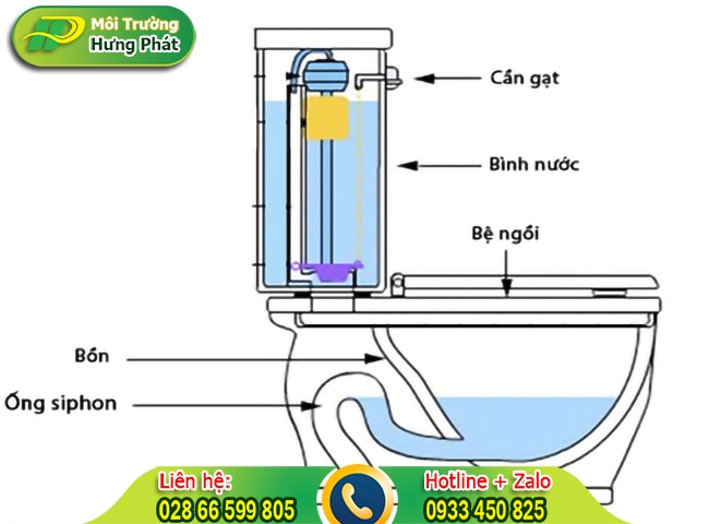 Cấu tạo bồn cầu bệt nhiều kiểu dáng, kích thước