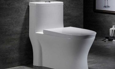 Nên dùng bồn cầu hãng nào tiết kiệm nước, có độ bền cao và giá rẻ