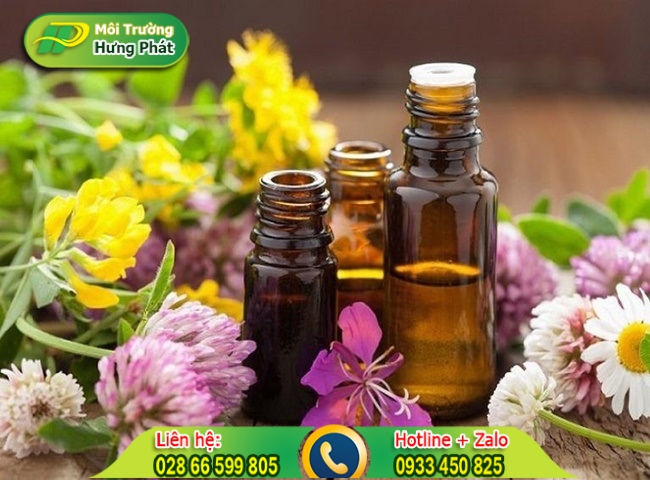 Sử dụng tinh dầu để khử m&ugrave;i h&ocirc;i nh&agrave; vệ sinh