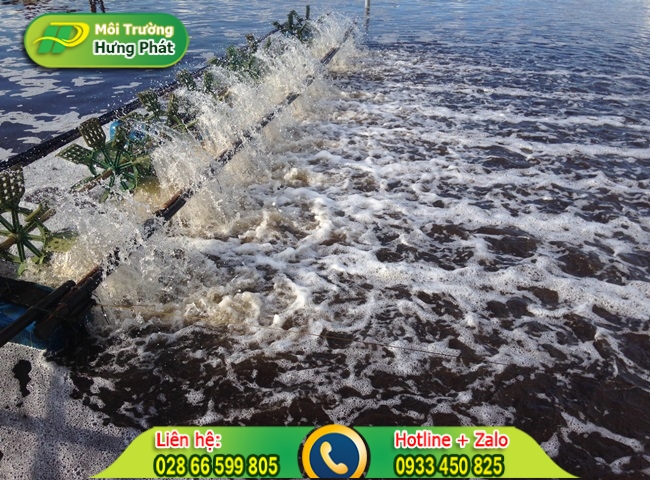 C&aacute;ch xử l&yacute; nước ao bị &ocirc; nhiễm ở giai đoạn đầu