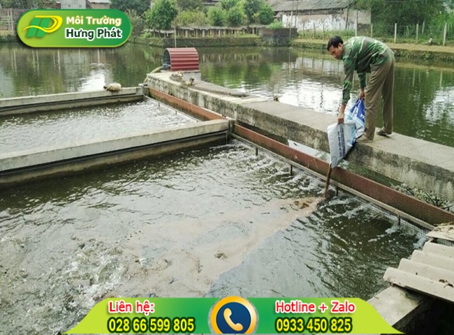Men vi sinh gi&uacute;p xử l&yacute; nước ao &ocirc; nhiễm