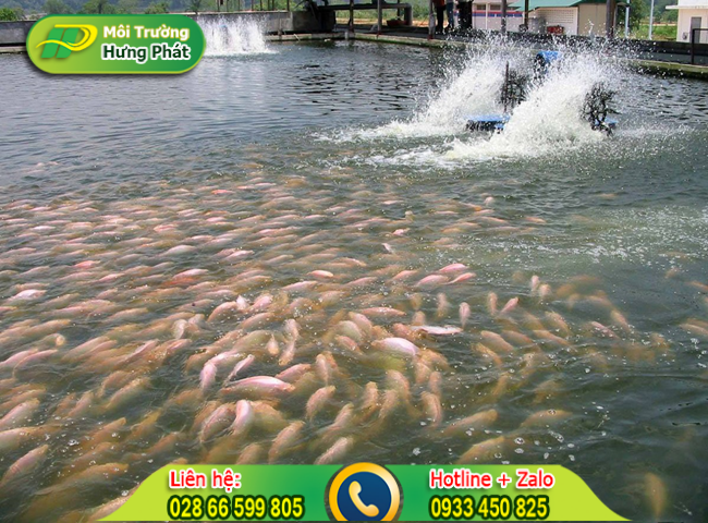 C&aacute;ch xử l&yacute; nước ao bị &ocirc; nhiễm