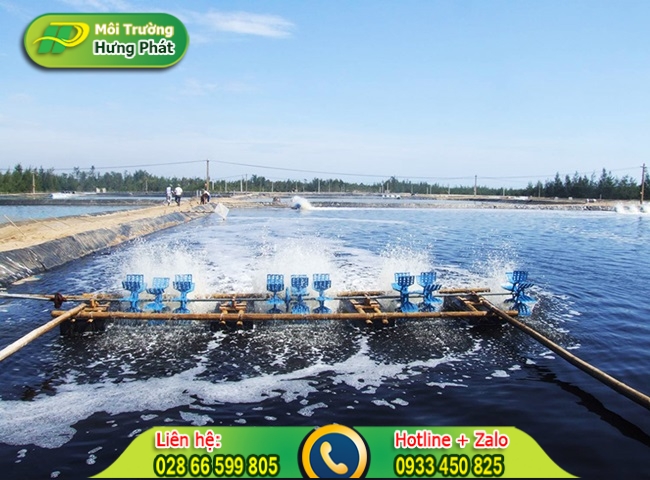 Lưu &yacute; c&aacute;ch xử l&yacute; nước ao bị &ocirc; nhiễm