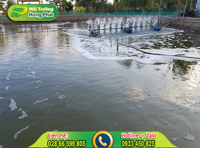 Nguy&ecirc;n nh&acirc;n nước ao bị &ocirc; nhiễm