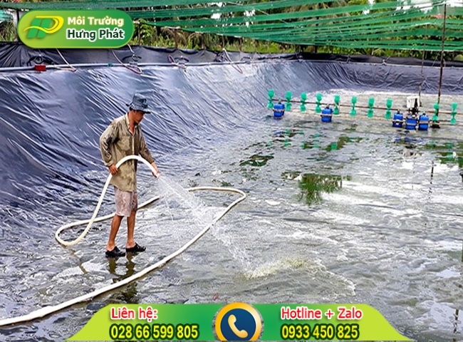Dọn dẹp cảnh quan xung quanh ao nu&ocirc;i c&aacute;