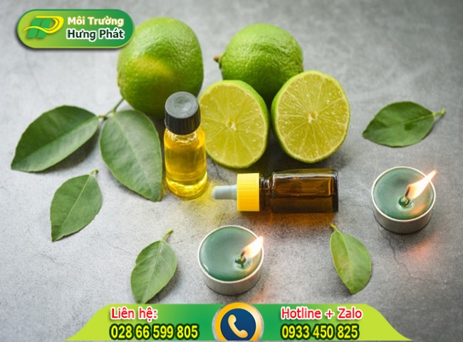 Kết hợp chanh và tinh dầu để làm sạch