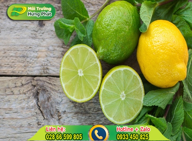 D&ugrave;ng chanh tẩy rửa toilet