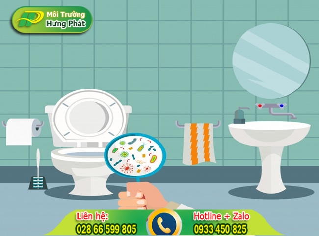 Vi khuẩn trong khu vực bồn cầu