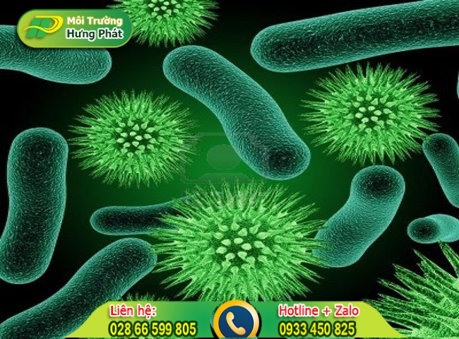 Vi khuẩn c&oacute; hại trong bồn cầu