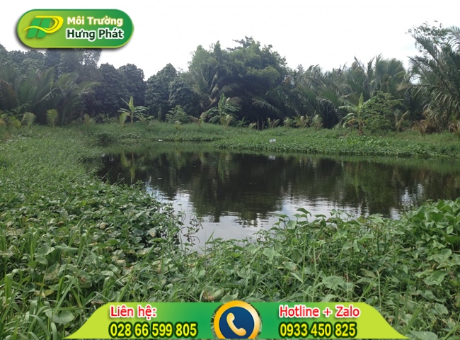 Ao hồ sinh học l&agrave;m sạch nước thải
