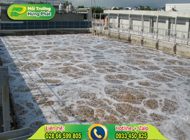 Phương ph&aacute;p xử l&yacute; sinh học bằng vi sinh thiếu kh&iacute;