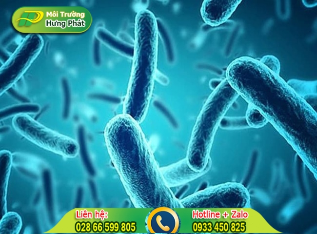 Vi sinh xử l&yacute; nước thải sinh hoạt v&agrave; c&ocirc;ng nghiệp