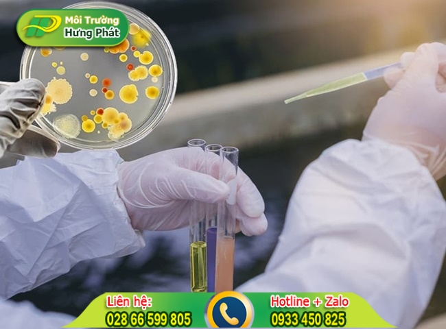 L&agrave;m sạch nước thải bằng biện ph&aacute;p sinh học