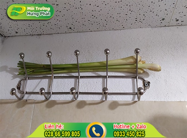 C&aacute;ch để sả trong nh&agrave; vệ sinh