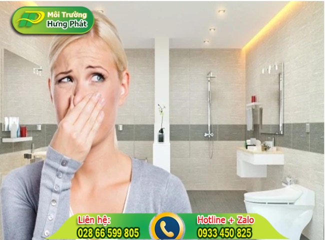 C&aacute;ch để sả trong nh&agrave; vệ sinh