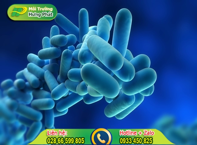 H&oacute;a chất khử m&ugrave;i h&ocirc;i nước thải