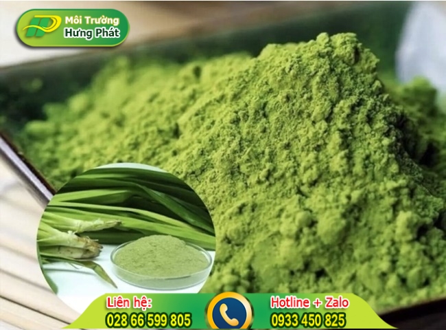 Cách để lá dứa trong nhà vệ sinh