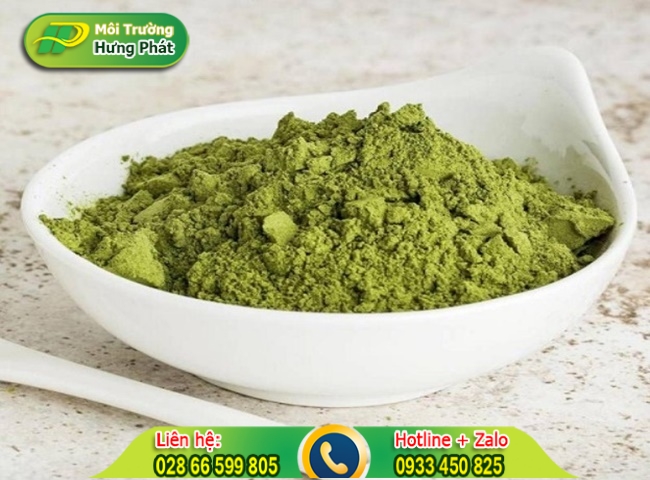 Cách để lá dứa trong nhà vệ sinh