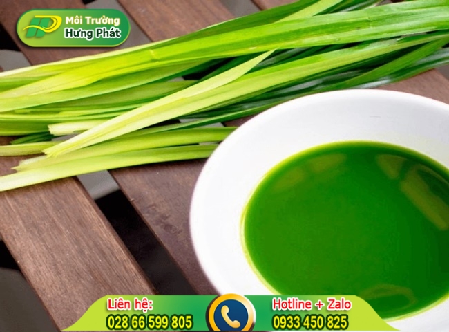 Cách để lá dứa trong nhà vệ sinh