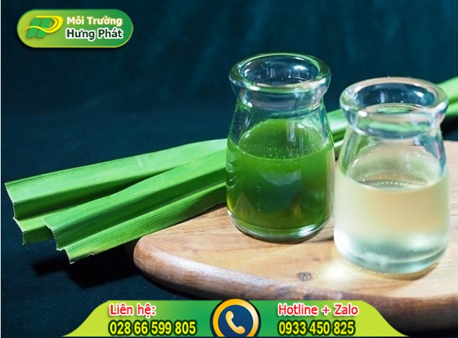 Cách để lá dứa trong nhà vệ sinh