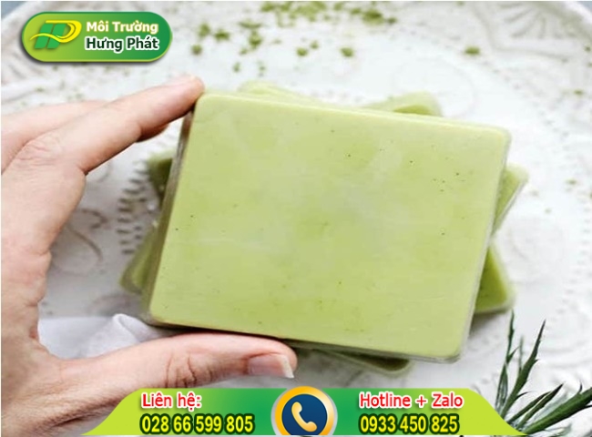 Cách để lá dứa trong nhà vệ sinh