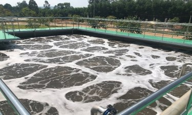 Cung cấp bùn vi sinh hiếu khí bao nhiêu là đủ?